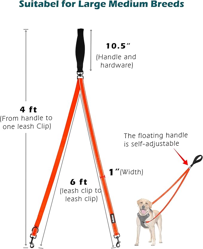 PetBonus Two Point Control Dog Leash, Works with No Pull Harnesses, No Tangle Training Leashes, Soft Padded and Reflective Walking Lead, Converts to Single Lead for Medium Large Dogs (Orange)