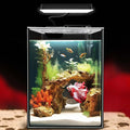 Glass Betta Aquarium Starter Kits 1.5 Gallon Small Fish Tank, Betta Fish Tank with LED Light, Power Filter, Black. 4mm Glass