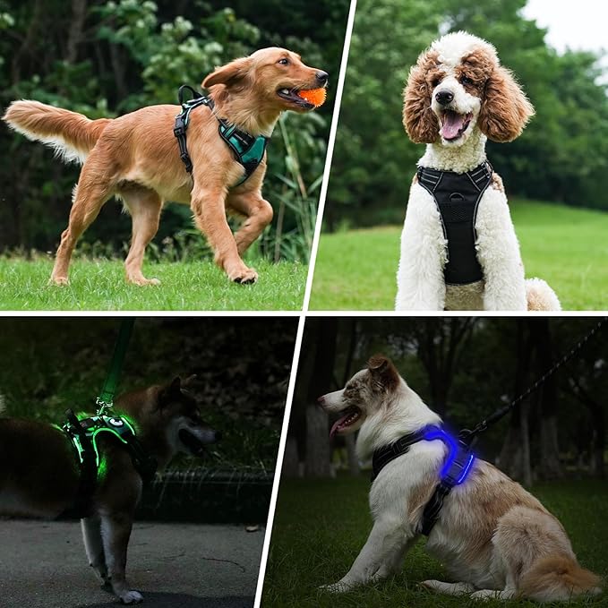 Taglory Light Up Dog Harness, Rechargeable No Pull Dog Vest with 3 Lightning Modes, Reflective Dog Harness with 2 Leash Clips & 4 Adjustable Slide Strips for Medium Dogs, Black-Purple, M