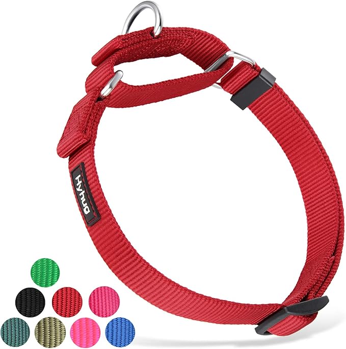 Hyhug Martingale Buckle - Free Dog Collar: Non - Slip Heavy - Duty Nylon, Escape - Proof, Colorfast & Adjustable for Large, Medium & Small Dog Breeds(Medium,Red)