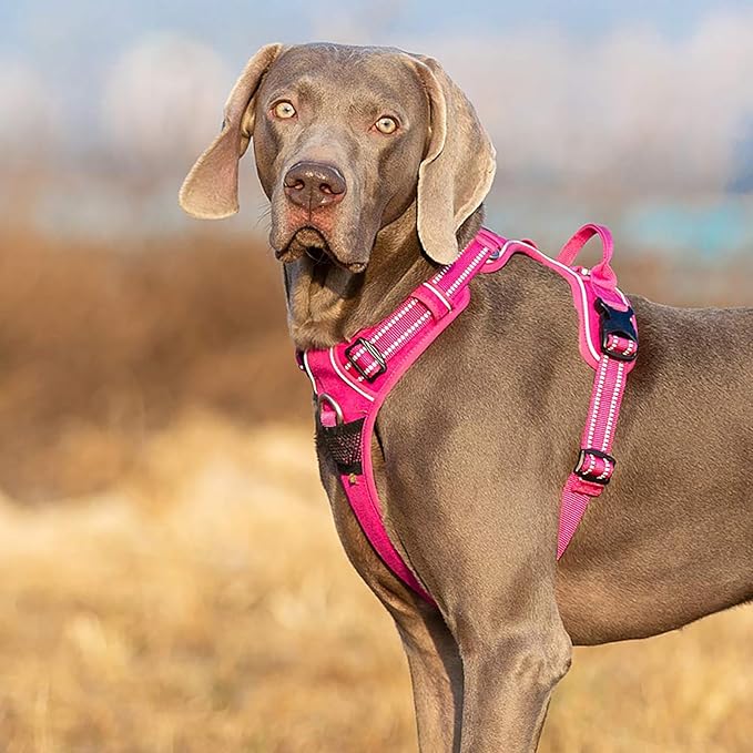 TRUE LOVE Dog Harness No Pull Nylon Reflective Pet Harness Adjustable Comfortable Control Step-in Brilliant Colors Truelove TLH56512