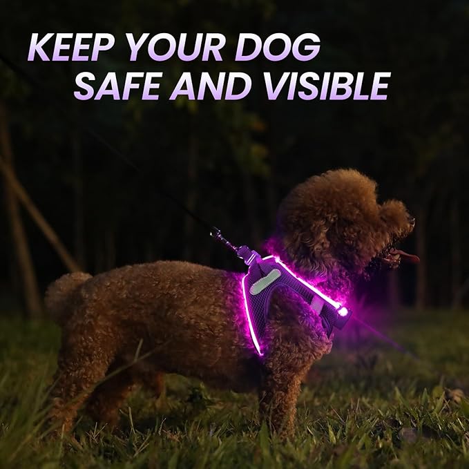 PceoTllar Light Up Dog Harness, LED No Pull Reflective Dog Harness, Flashing Lighted for Night Walking - Small/Medium, (Purple,M)