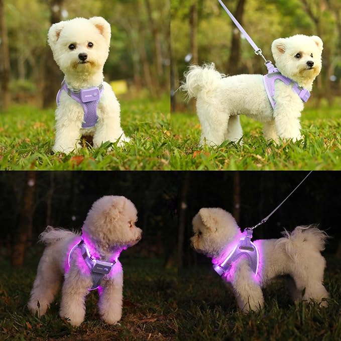 Light Up Dog Harness,Rechargeable LED Dog Harness for Small Medium Large Dogs,Reflective Lighted Safety Vest for Night Walking & Camping,Lightweight & Adjustable,Lavender Purple,L