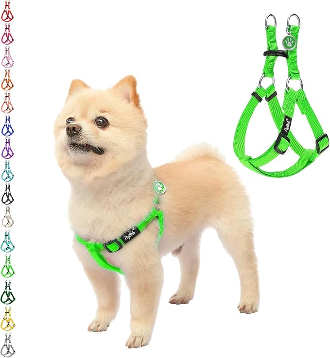 PUPTECK No Pull Dog Harness Soft Adjustable Basic Nylon Step in Puppy Vest Outdoor Walking with ID Tag, Green, XS