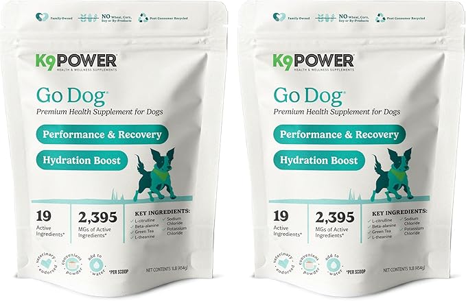 K9 Power Go Dog Hydration & Performance Drink Mix 1 lb - Active Dog Supplement for Muscle Function, Endurance, Recovery, with Electrolytes Support - Pack of 2