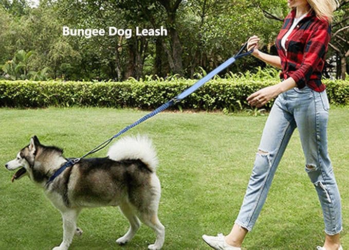 Hands Free Dog Leash for Large Medium Dogs Heavy Duty Bungee Reflective Adjustable Waist Leashes for Walking Running with Car Buckle 4-6FT (Blue)
