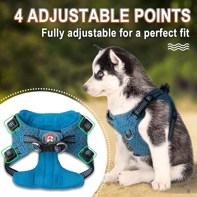 Dog Harness Step in Dog Vest Harness, Reflective Adjustable Puppy No Pull Harness Breathable Soft for Small and Medium Dogs Cats, Blue/Black, S