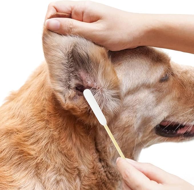 Long Cotton Swabs for Dog Ear Cleaning, 200pcs, 4.7 Inch Biodegradable Cotton Tips, Ideal for Ear Care & Wound Treatment, Portable Size, Eco-Friendly