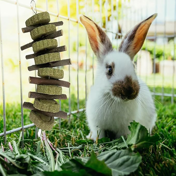 kathson Rabbit Chew Toys,Bunny Grind Teeth 100% Natural Organic Apple Wood Stick Improve Rodent Health Rabbits Hamsters Squirrel Guinea Pig(4 Pieces)