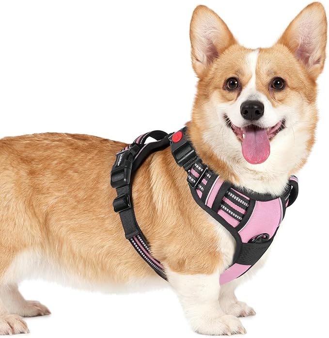 rabbitgoo Dog Harness Small Sized, No Pull Pet Harness with 3 Buckles, Adjustable Soft Padded Vest with Control Handle, Walking Reflective Pet Vest for Small Dogs, Pink, S