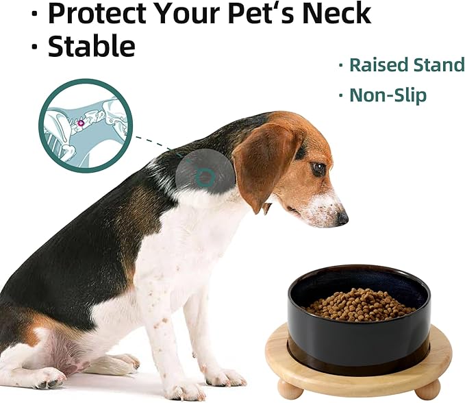 Ceramic Elevated Dog Food and Water Bowl, Kitty Bowl, Raised Dog Dish, Pet Feeder (6inch, 1 x Starry Sky + Stand)