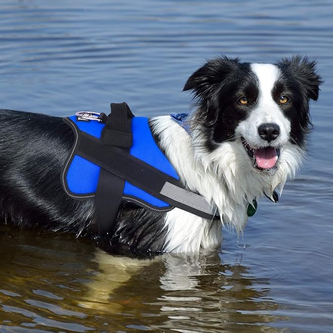 Bolux Dog Harness, No-Pull Reflective Dog Vest, Breathable Adjustable Pet Harness with Handle for Outdoor Walking - No More Pulling, Tugging or Choking (Blue, XS)