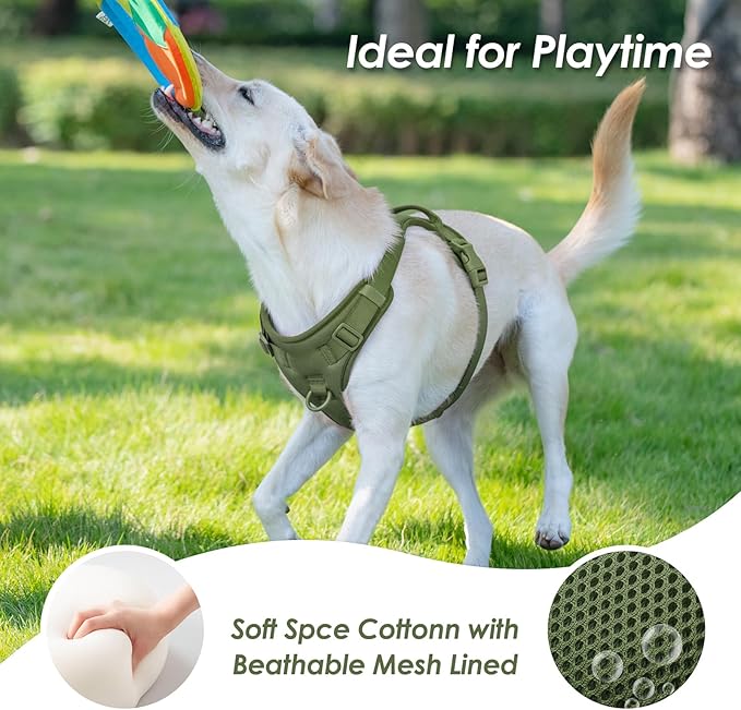 No Pull Dog Harness, Puppy Vest with Front Clip for Small Medium Large Sized Cute Dog (Misty Green,L)