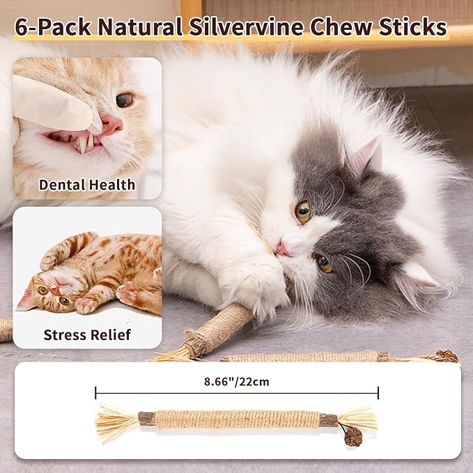 6 Pack Silvervine Cat Chew Toys, Natural Dental Sticks for Indoor Cats, Kittens Teeth Cleaning, Catnip Alternative, Interactive Play, Yellow