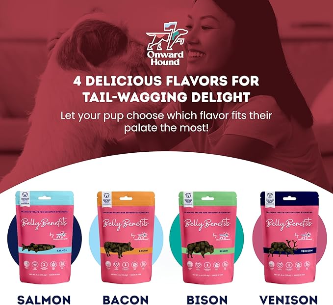 Training Treats for Dogs - Soft Bacon - Low Calorie Dog Training Treats for Sensitive Stomachs with Single Source Premium Protein, Corn Free, & Soy Free Formula - 10 oz