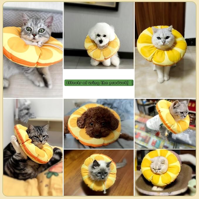 Cat Recovery Soft Collar.Cute Orange Shape, Waterproof Soft Recovery Collar. Anti-bite and Anti-Lick Wound Healing Safe Adjustable Elizabethan Collar.(L)