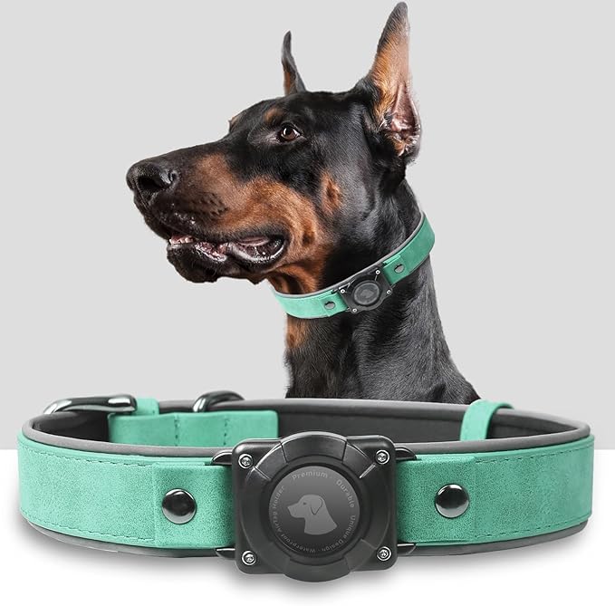 AirTag Dog Collar - Leather Dog Collar with Air Tag Holder | IPX8 Waterproof, Reflective, High - End, Adjustable Soft Padded | Dog GPS Tracker Collars Fit for Medium Large Dogs (Teal, L)