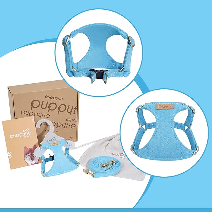 Puppytie No Pull Small Dog Harness with Multifunction Dog Leash,Lightweight Soft Adjustable No Choke Escape Proof Pet Harness Vest Pet Harness Vest,Ocean Blue,S