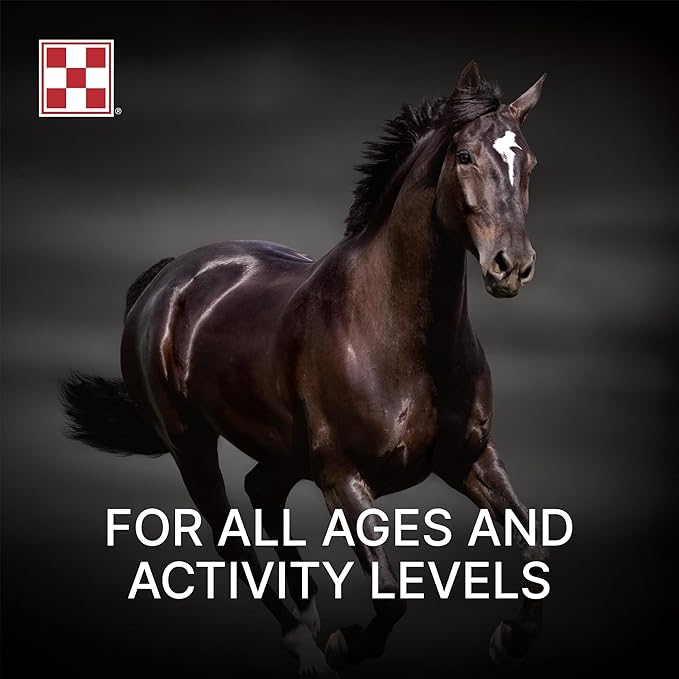Purina, Amplify Equine, High-Fat Horse Supplement for Maintenance, Breeding, & Performance Horses, 50 lbs