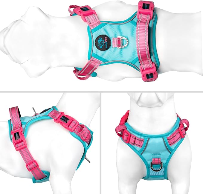 PHOEPET No Pull Dog Harness, Unique Colors Reflective Adjustable Dog Vest, with Soft Training Handle Metal Clips for Small Medium Large Dogs (Mint Green Base & Pink Straps,XL)