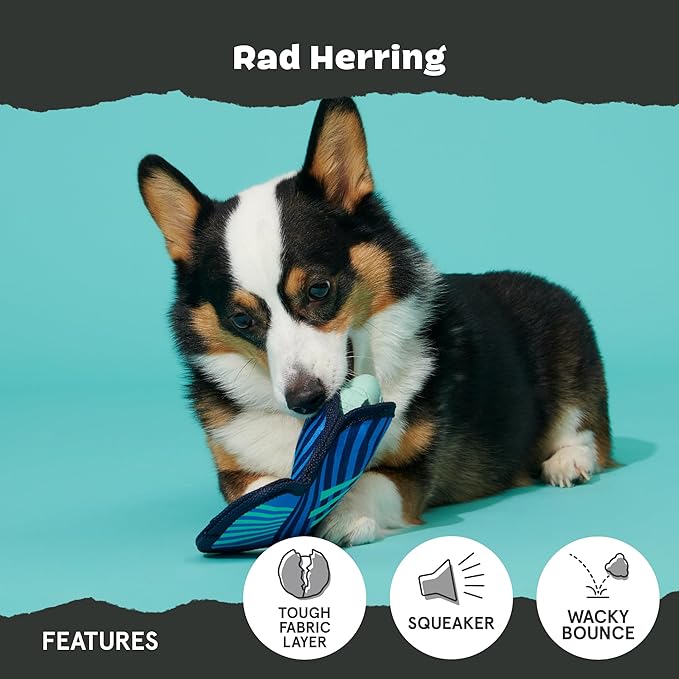 Barkbox Super Chewer Rad Herring Hard Core Toy with Rip Away Plush for Aggressive Chewers, Medium