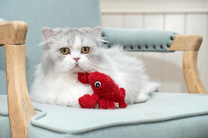 Interactive Catnip Cat Plush Toy, Ocean Theme, 5'', for All Breed Size Cats (Lobster)
