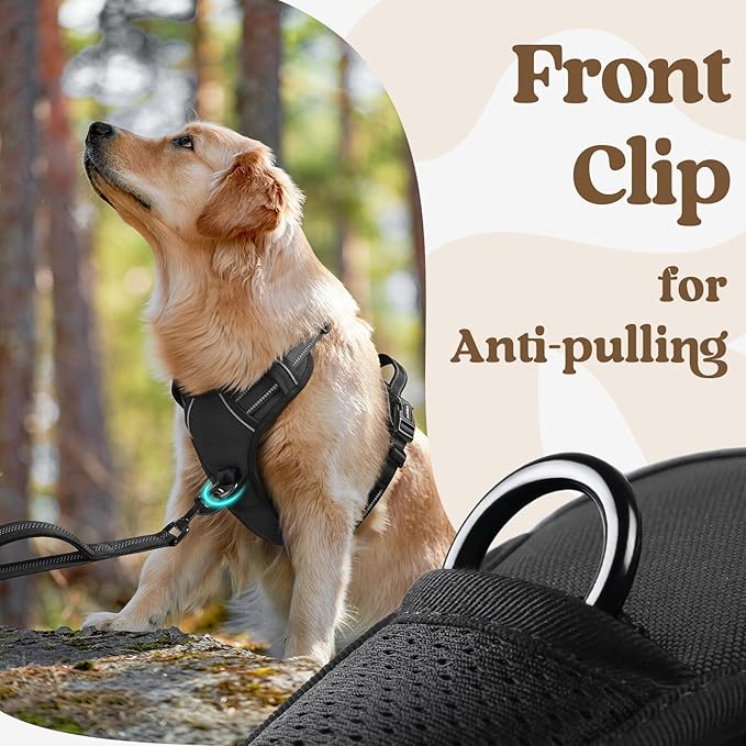 rabbitgoo Dog Harness Small Sized, No Pull Pet Harness with 3 Buckles, Adjustable Soft Padded Vest with Control Handle, Walking Reflective Pet Vest for Small Dogs, Black, S