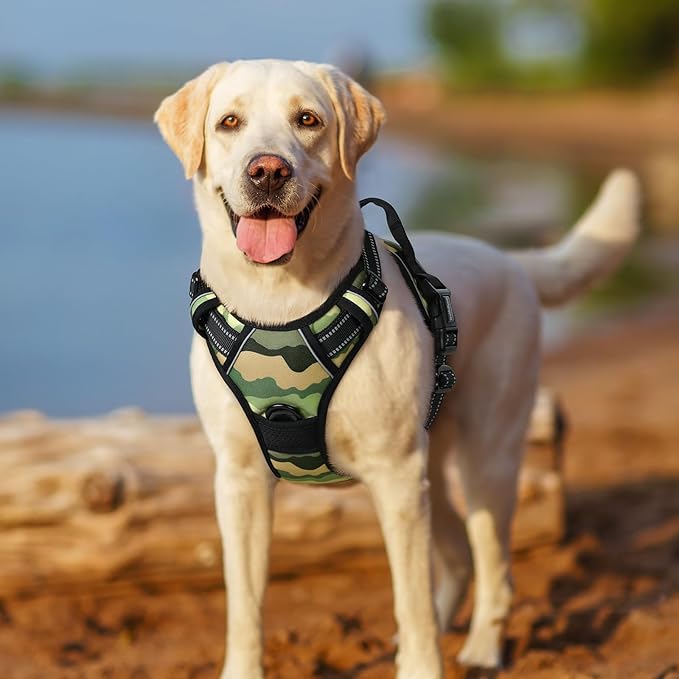 rabbitgoo Dog Harness No Pull with 2 Leash Clips, Adjustable Soft Padded, Reflective Oxford No Choke Pet Vest with Easy Control Handle for Large Dogs, Green Mountain,S