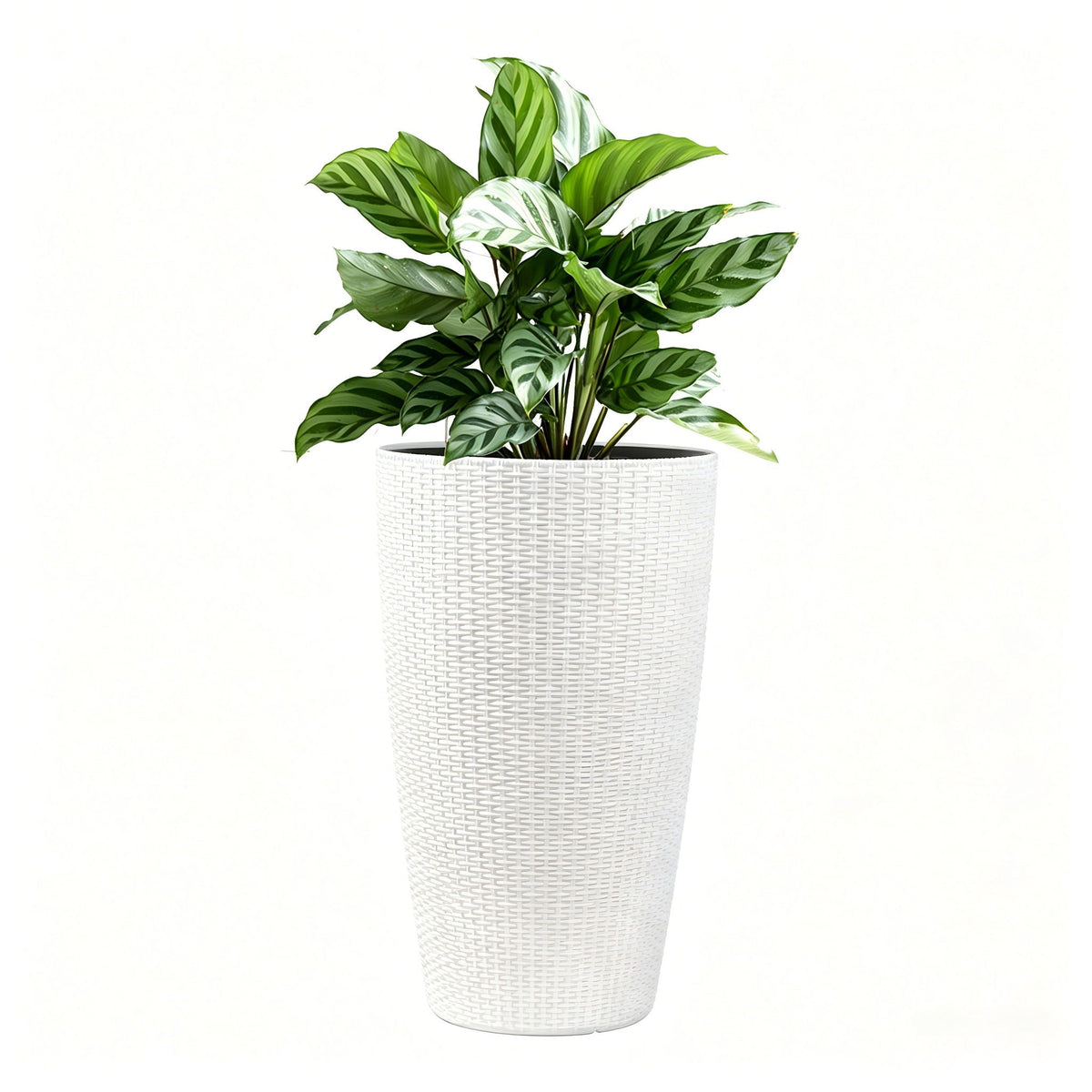 Tall Planters Set With Water Level Monitor And Auto Watering