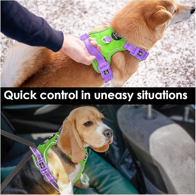 PHOEPET No Pull Dog Harness, Unique Colors Reflective Adjustable Dog Vest, with Soft Training Handle Metal Clips for Small Medium Large Dogs (Green Base & Purple Straps,M)