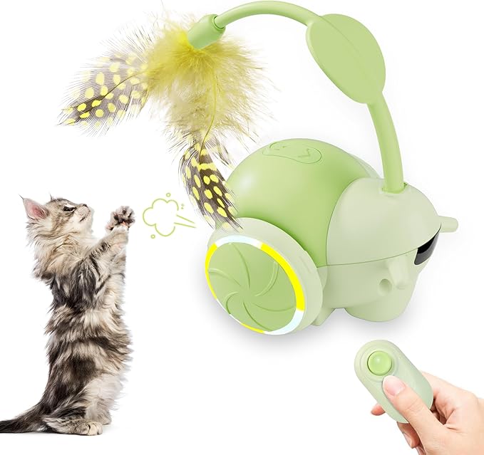 Cat Toys for Bored Indoor Adult Cats,Remote Control Cat Toy with 4 Directions,LED Lights Interactive Remote Control Dog Toy (Green)