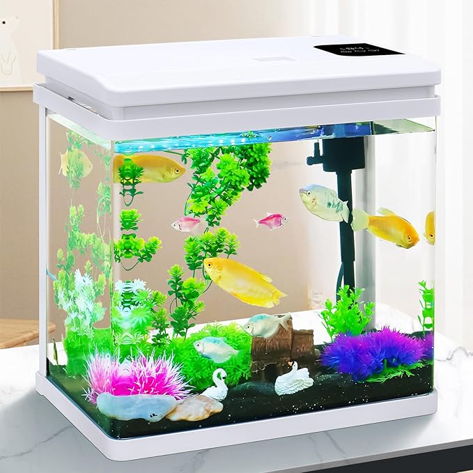 Beginner Betta Fish Tank Aquarium kit Intelligent Timed Shutdown, Seven LED Lights, Adjustable Brightness, High-Transparency Glass, Efficient Filtration Gallon (6 Gallon)