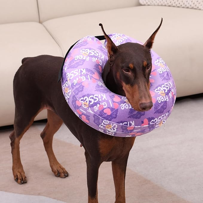 CuteBone Inflatable Dog Neck Donut with Removable Soft Fleece Covers for Small/Medium/Large Dogs and Cats After Surgery GWB06XL