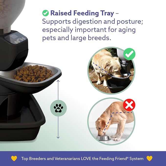 Automatic Dog & Cat Food Feeder with Water Dispenser – Smart Pet Feeder with Portion Control, OLED Display, Anti Jam Design, Battery Operated Dispenser for Medium/Large Pets - Black