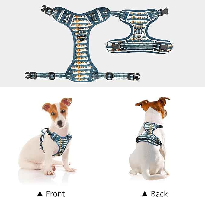 Timos Dog Harness, 3 Snap Buckles No-Pull Soft Padded Dog Vest with 2 Metal Leash Clips, Adjustable Reflective No Choke Pet Harness with Easy Control Handle for Small Dogs, Sunset Valley, S