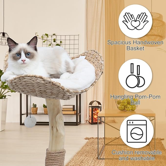 Modern Cat Tree Tower for Indoor Cats, Real Branch Luxury Cat Condo with Scratching Post, Jumping Platforms, Hanging Toy Ball for Multi-Cat Households