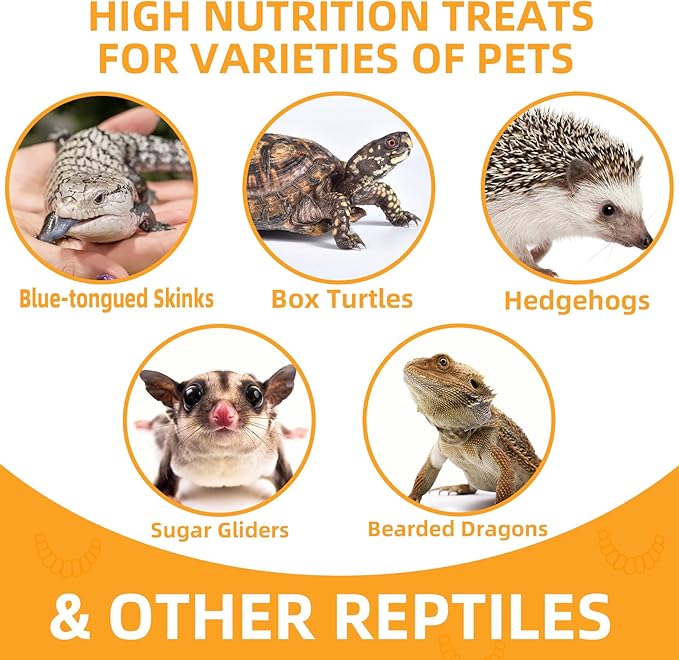 Freeze Dried Mealworms 6 Oz - High Protein Pet Food for Reptiles, Bearded Dragons, Birds & Hedgehogs - Nutrient-Packed Treat for Lizards, Geckos, Turtles, Chickens