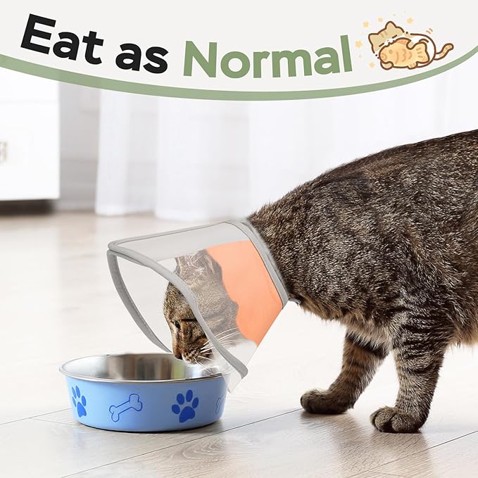 Cat Cone Collar Soft: Comfortable Waterproof Mesh Recovery Cone After Surgery to Stop Licking and Scratch, Alternative to Plastic Elizabeth Head/Neck Cone for Large Cats and Small Dogs