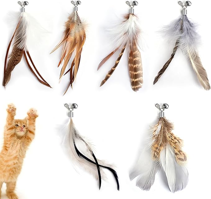 Cat Feather Toys Refills Cat Wand Replacement Feathers 6 PCS Handmade Cat Toy Feather Refills for Cat Wand Attachments Interactive Feather Cat Toy for Indoor Cats