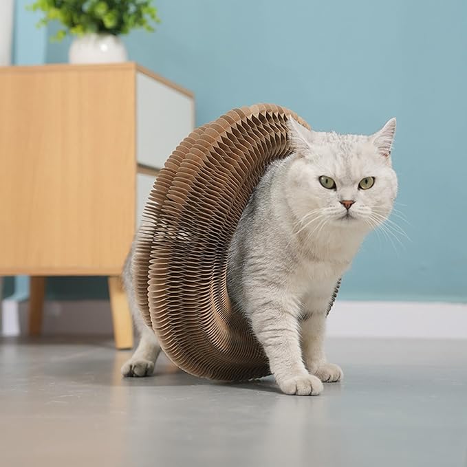 Kitty Curls Cat Toy Kurlz, Interactive Scratch Pad, Foldable Accordion,Cat Recyclable Scratcher with Ball (Pink)