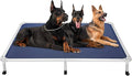 Veehoo Chew Proof Elevated Dog Bed - Cooling Raised Pet Cot - Silver Aluminum Frame and Durable Textilene Mesh Fabric, Unique Designed No-Slip Feet for Indoor or Outdoor Use, Blue, XX-Large, CWC2003