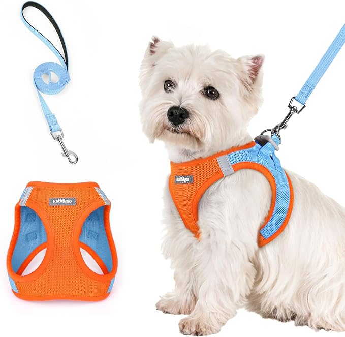 rabbitgoo Dog Harness Small Sized and Leash Set, Step in Soft Light Puppy Vest, Breathable Mesh Pet Harness, Reflective for Safe Easy Walking, Blue & Orange S