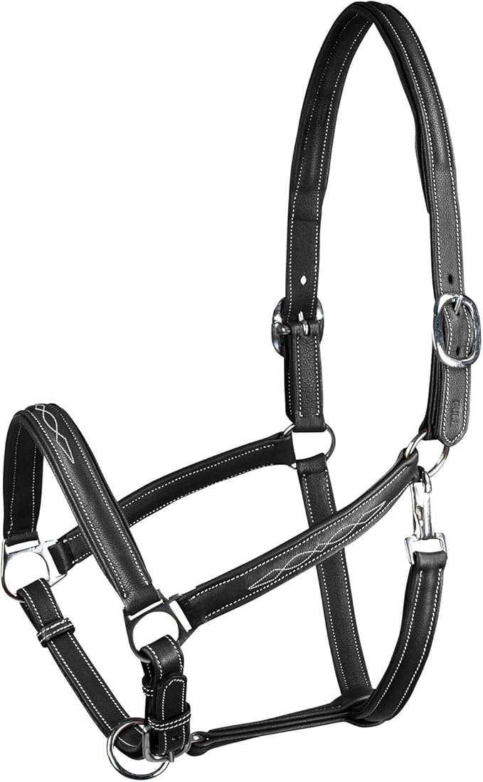 HORZE Warren Soft Adjustable Genuine Leather Horse Halter | Stainless Steel Hardware - Black - Horse