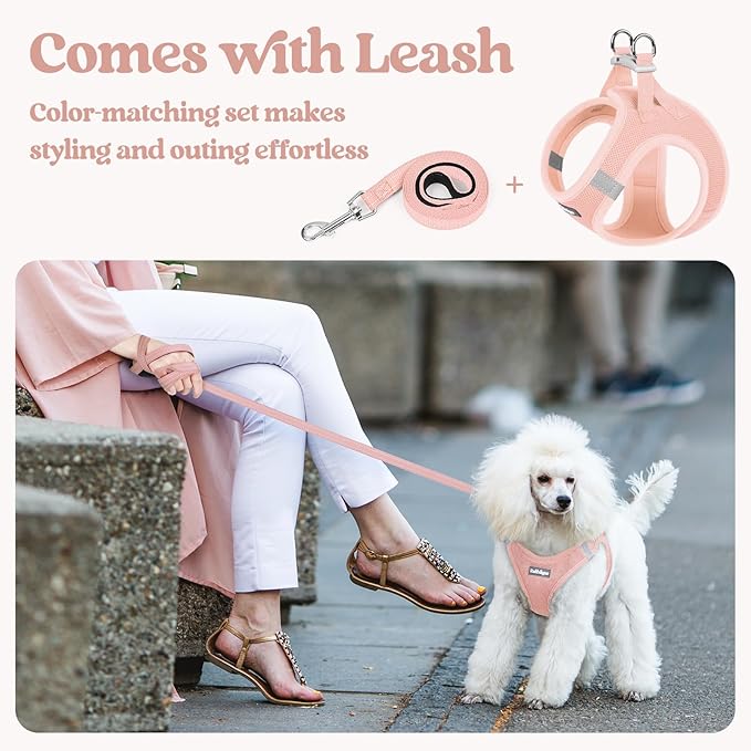 rabbitgoo Dog Harness Small Sized and Leash Set, Step in Soft Light Puppy Vest, Breathable Mesh Pet Harness, Reflective for Safe Outdoor Walking, Pink M