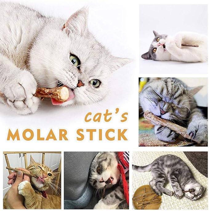 10 PCS Cat Catnip Sticks, Natural Matatabi Silvervine Sticks - Cleaning Teeth Molar Tools Kitten Chew Toy Natural Catnip Cats Toy