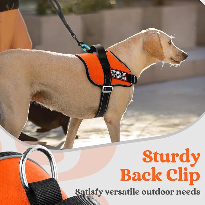 rabbitgoo Dog Harness Medium Sized, Easy On Pet Vest with One Buckle, No Pull Adjustable Service Harness with D-Ring & Handle, Reflective for Safety Walking, Training, Orange, M