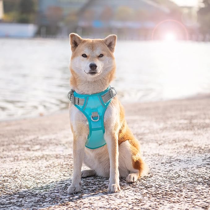 PHOEPET No Pull Dog Harness, Unique Colors Reflective Adjustable Dog Vest, with Soft Training Handle Metal Clips for Small Medium Large Dogs (Mint Green Base & Grey Straps,L)
