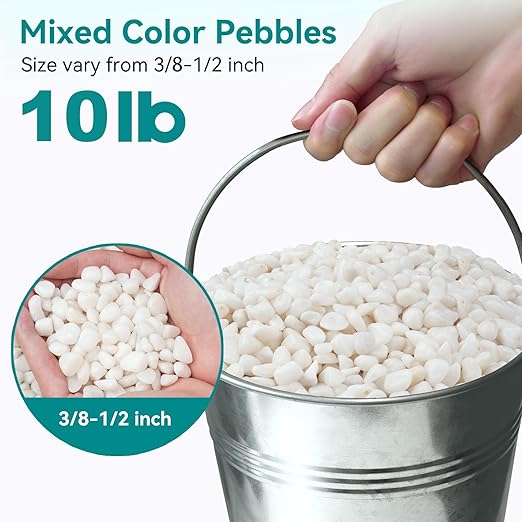 10 lbs Small White Rocks for Planters, 3/8" White Pebbles for Vases, Decorative Small Stones for Plants, Succulents, Bamboo, Terrarium, Landscape, Garden