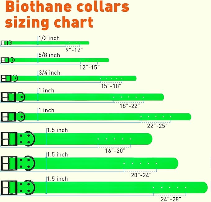 Dogline Biothane Waterproof Dog Collar Strong Coated Nylon Webbing with Black Hardware Odor- Proof for Easy Care Easy to Clean High Performance Fits Small Medium or Large Dogs, Tropical Green