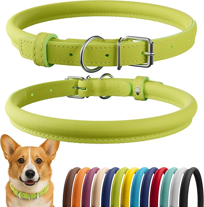 CollarDirect Rolled Leather Dog Collar, Soft Padded Round Puppy Collar, Handmade Genuine Leather Collar Dog Small Large Cat Collars 13 Colors (11-14 Inch, Lime Green Smooth)
